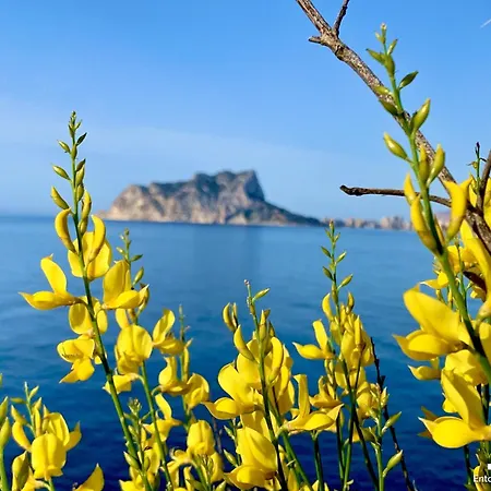 Vh Costablanca - La Cometa *