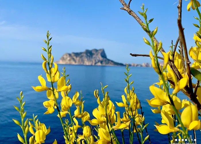 Vh Costablanca - La Cometa *